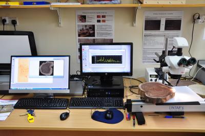 <a href="http://bit.ly/2wRDSfP"target="_blank">Dendrochronology laboratory facility at the World Agroforestry Centre’s Nairobi headquarters. Dendrochronology is the study of tree rings to establish past climate patterns. To learn more about the Lab facilities and equipment go here. Photo: World Agroforestry Centre/K. Foster</a>