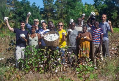 Timberland and Smallholder Farmers Alliance representatives join local farmers to celebrate Haiti’s first commercial cotton harvest in 30 years. Photo credit: Thomas Noreille/ SFA