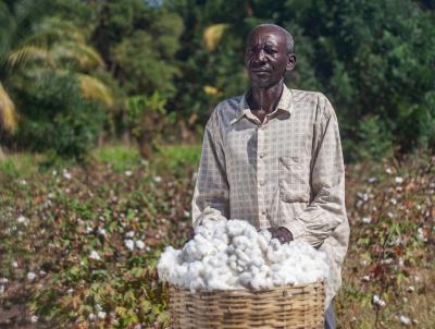 Smallholder Farmers Alliance farmer and member, Jean Alcide, shows some of the cotton he grew that will ultimately be used in Timberland products. Timberland and the Smallholder Farmers Alliance are partners in a shared effort to reintroduce cotton farming to Haiti to benefit farmers, customers, and the environment. (Photo: Thomas Noreille/SFA)