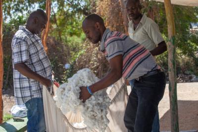 Haitian farmers prepare to weigh their cotton from Haiti’s first commercial cotton harvest in 30 years. Timberland and the Smallholder Farmers Alliance have partnered to reintroduce cotton farming to Haiti with a model that will create a new sustainable supply chain for cotton while also benefitting farmers and the environment. (Photo: Thomas Noreille/SFA)
