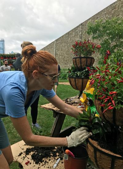 A volunteer at Goose Island Beer Company's Migration Week Tour event in Philadelphia where she worked with Keep Philadelphia Beautiful and Fairmount CDC to beautify Fairmount Avenue.