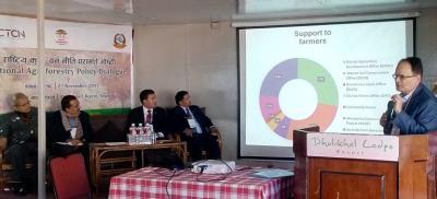 Dr Javed Rizvi, ICRAF’s Regional Director for South East Asia speaking at the policy dialogue. Also in the picture from left: Mr. Tiwari (Deputy Secretary, Ministry of Agriculture), Mr. Dhananjaya Paudel (Deputy Secretary Ministry of Forest and Soil Conservation), Dr. Bishwa Nath Oli (Secretary, Ministry of Population and Environment) and Dr. B. N. Mahto (Executive Director, Nepal Agriculture Research Council). Photo: World Agroforestry Centre