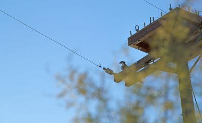 An osprey perches next to the new avian platform SCE built for its nest on a power pole in Huntington Beach. Credit: Joseph Foulk