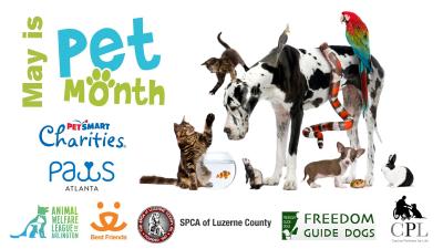 Celebrating Our Furry Friends and the Benefits They...