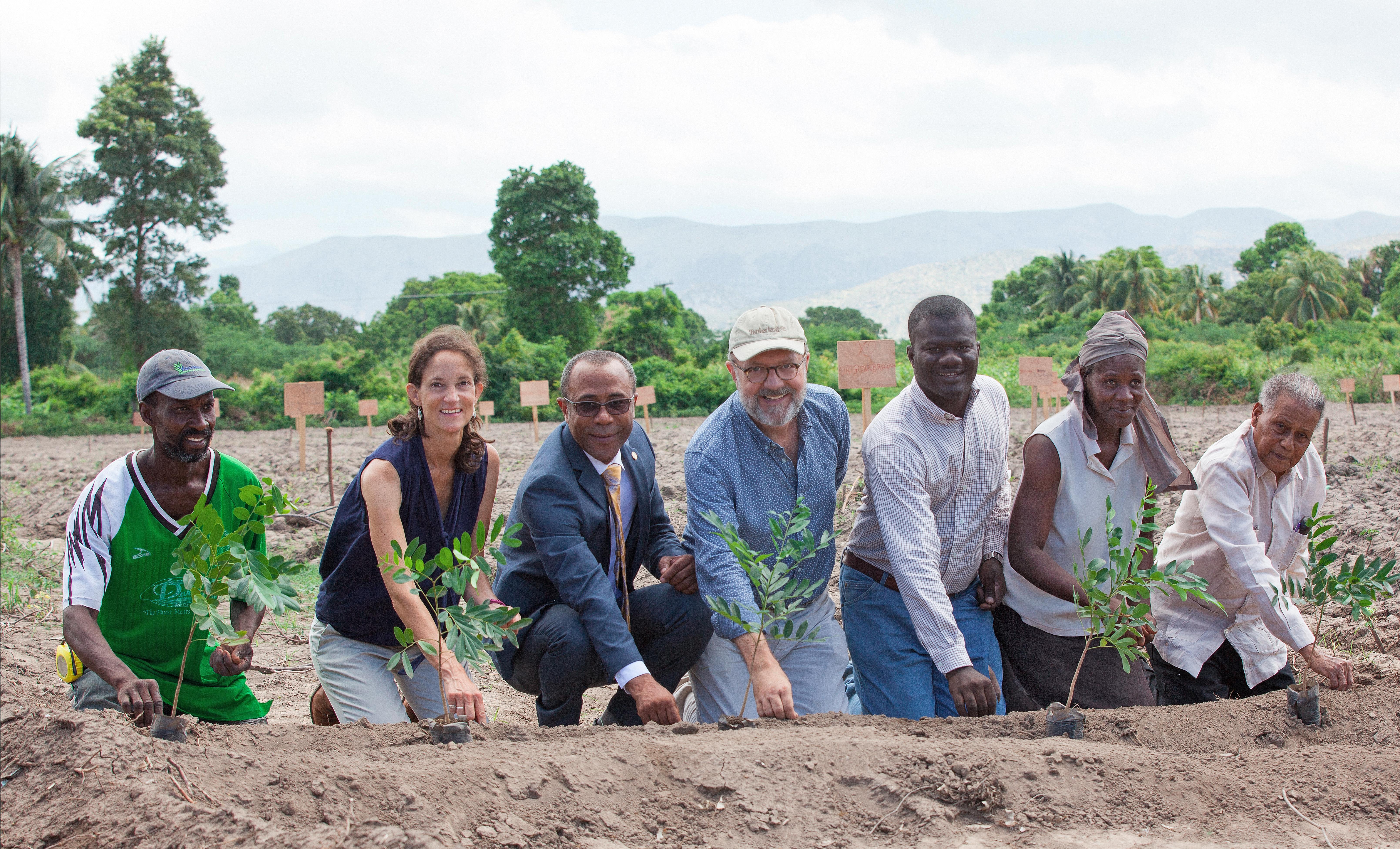 The Smallholder Farmers Alliance (SFA) and partners plant cotton seeds to reintroduce cotton to Haiti after a 30-year hiatus. Tree seedlings, transplanted elsewhere after the ceremonial planting, symbolize the unique connection between trees and cotton in the SFA/Timberland agroforestry model. Pictured (left to right): Thony Thomas, smallholder farmer; Atlanta McIlwraith, Timberland; Pierre Marie Du Mény, Haitian Minister of Commerce and Industry; Hugh Locke, SFA; Timote Georges, SFA; Nerlande Dautarn, smallholder farmer; Rémillot Léveillé, agronomist who is known as the “father of cotton” in Haiti. Photo credit: SFA/Thomas Noreille.
