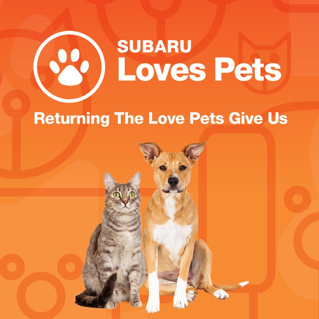 <a href="http://bit.ly/2lmzKns"target="_blank">To watch the 2017 Subaru Loves Pets Video visit the Subaru YouTube Channel by CLICKING HERE</a>